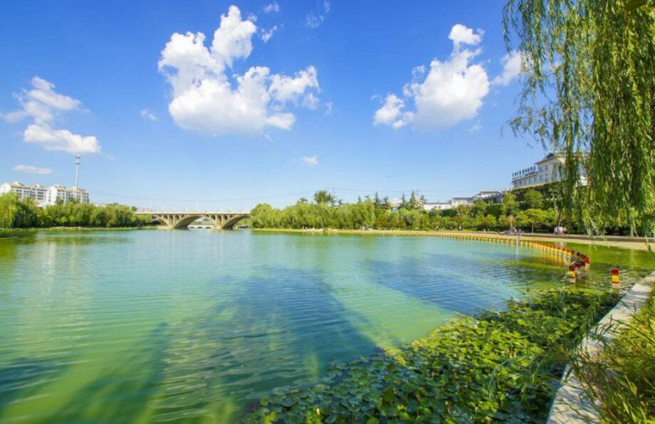 環保先行，水質提升！溫州泰順縣全麵推進治水工作，取得優異成果|好色先生下载安装看環保